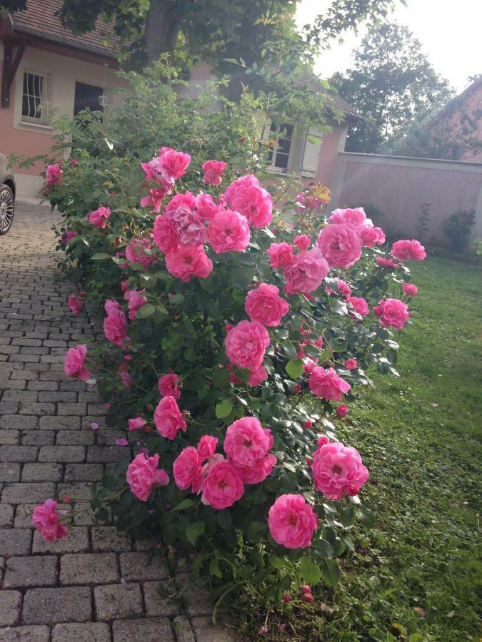 Rose Garden Studio Giverny Exterior photo