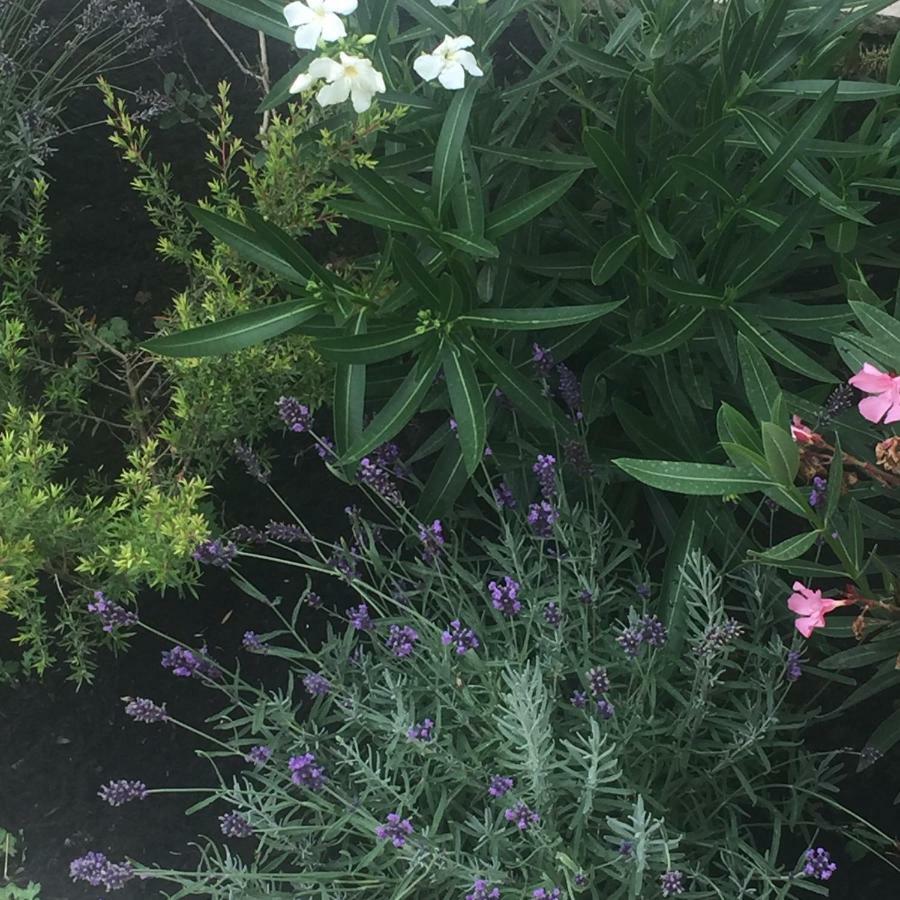 Rose Garden Studio Giverny Exterior photo