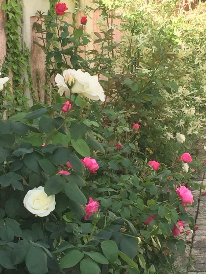 Rose Garden Studio Giverny Exterior photo